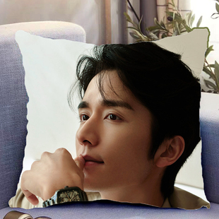 张新成周边双面抱枕人物照片同款靠枕靠垫带枕芯枕头套礼物可定制