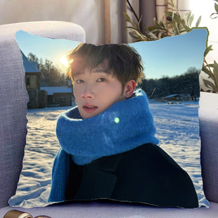 蒋敦豪周边双面抱枕人物照片同款靠枕靠垫带枕芯枕头套礼物可定制