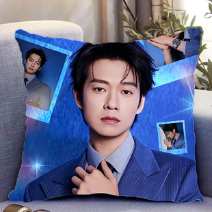 魏大勋周边双面抱枕照片同款靠枕靠垫带枕芯睡觉枕头套礼物可定制