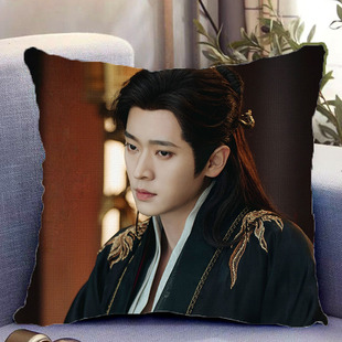 丞磊周边双面抱枕成何体统夏侯澹照片带枕芯靠枕靠垫枕头礼物定制