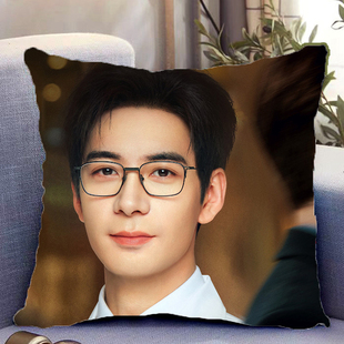 陈星旭周边双面抱枕你的谎言也动听行知止带枕芯靠枕靠垫礼物定制