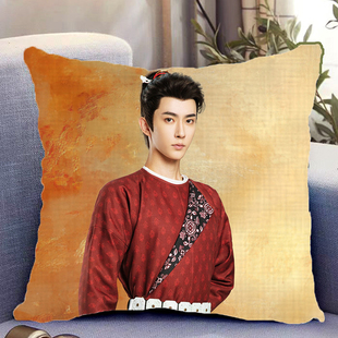 于朦胧周边双面抱枕一伞烟雨南风意带枕芯靠枕靠垫枕头礼物可定制