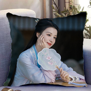 王楚然周边双面抱枕柳舟记柳眠棠照片带枕芯靠枕靠垫枕头礼物定制