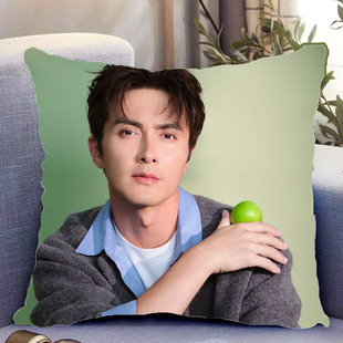 高伟光周边双面抱枕人物照片同款靠枕靠垫带枕芯枕头套礼物可定制