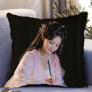 李一桐周边双面抱枕天地剑心清瞳照片带枕芯靠枕靠垫枕头礼物定制