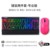 "Professional Edition" "E-Sports Style" Keyboard and Mouse Set - Titanium Is-7 Black Tea Switch + Gpw G3 Pink