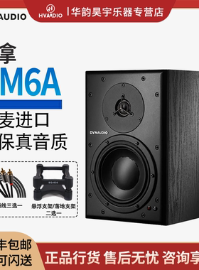 Dynaudio丹拿 BM6A有源监听音箱高保真发烧HIFI有源音响丹麦原产