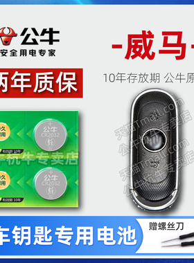 适用于威马E.5 EX5 EX6 W6 PLUS汽车钥匙电池遥控器纽扣电子锁匙400 460创新520探索版20 22新款