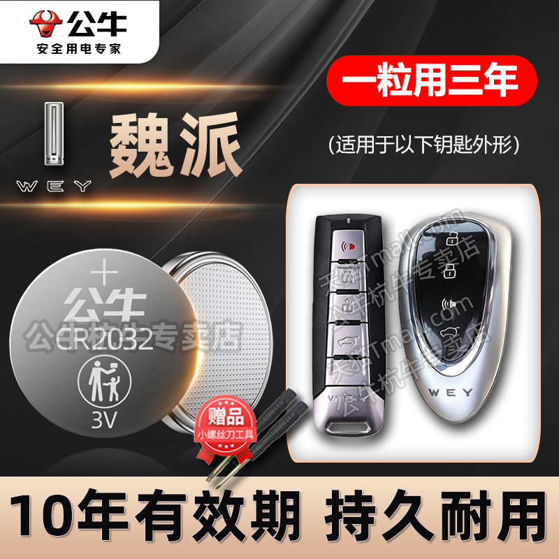 长城魏车钥匙专用电池