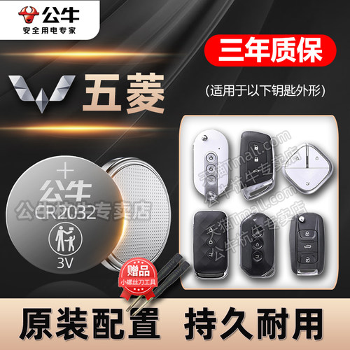 五菱汽车专用纽扣电池