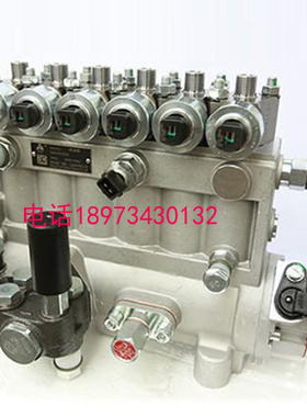 南岳电控单体泵国三非道路农机B6HD1845一拖洛拖发动机喷油泵总成