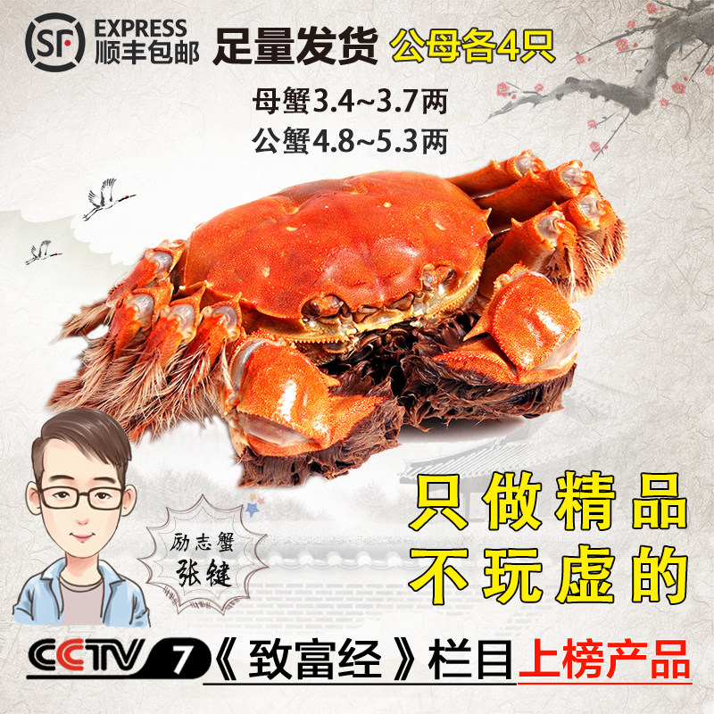 鲜活现货8只礼盒包装大闸蟹4对公5.0母3.5长荡湖正宗螃蟹顺丰包邮