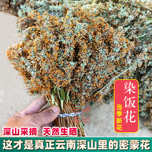 云南密蒙花染饭花糯米花植物染料糯米黄花染色粽子泡水野生特产
