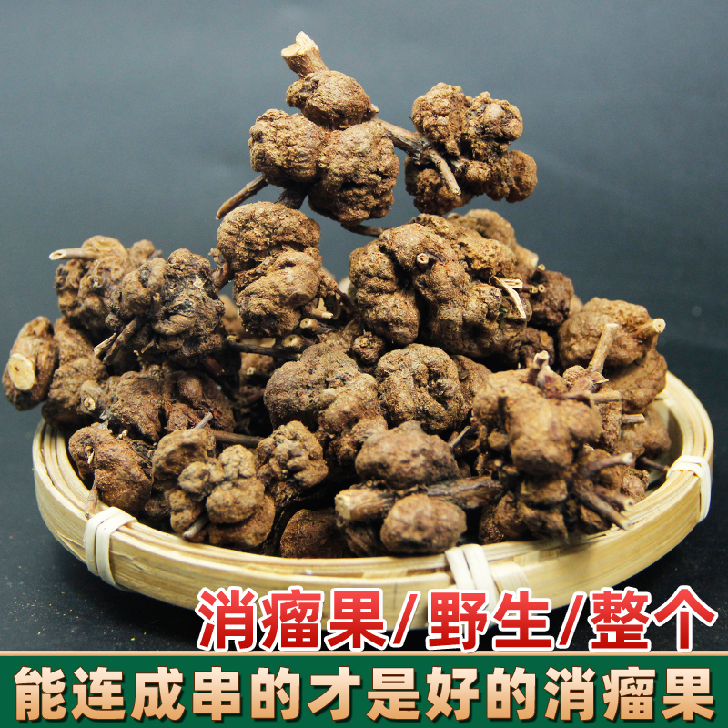 云南消瘤果金丝果寄生土连翘寄生