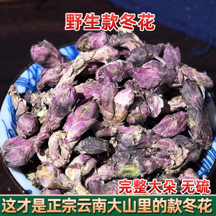 云南野生款冬花 中药材冬花 正品看灯花 艾冬花 九九花野冬花包邮