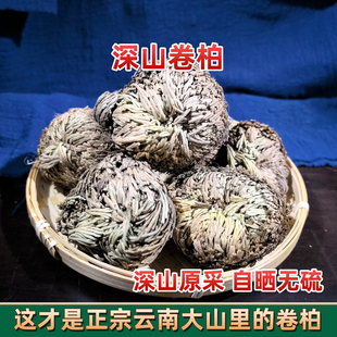 云南深山卷柏中药材九死还魂草卷柏还阳草不死草小叶干货