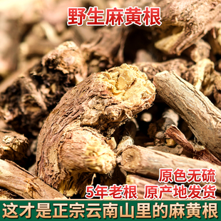 云南野麻黄根 中药材饮发汗散龙沙根狗骨卑相卑盐草麻黄结力根