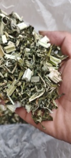 农家自销野生益母草中药材晒干新鲜食用叶茶包女生调理调经泡脚