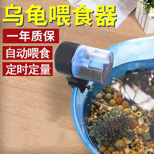 巴西龟定时小型投食器龟水喂食器