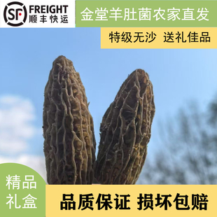现摘新鲜羊肚菌四川成都金堂特产特级无沙个大肉厚干净精品礼盒装