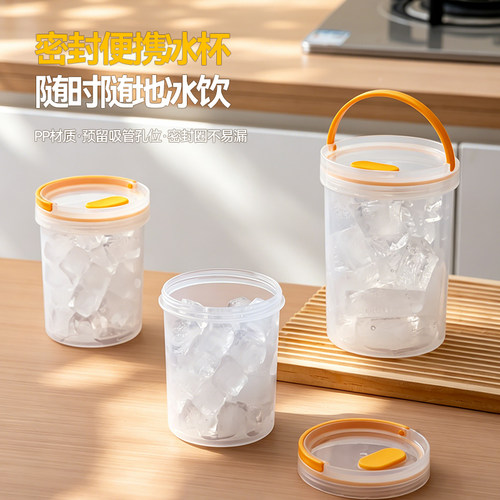 冰箱制冰可冷冻便携带盖吸管杯