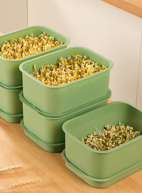 四季吃新鲜豆芽全自动豆芽发芽神器食品级大号水培育苗托盘专用盆