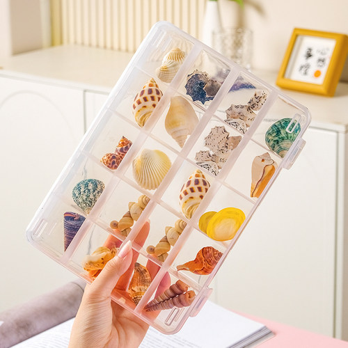 贝壳收纳盒透明标本模具收藏