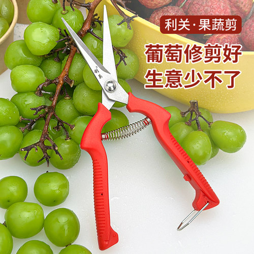 水果店葡萄剪摘水果专用剪刀