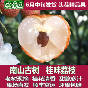 桂味荔枝南山古树荔枝5斤10斤新鲜现摘顺丰空运水果大王南山礼盒
