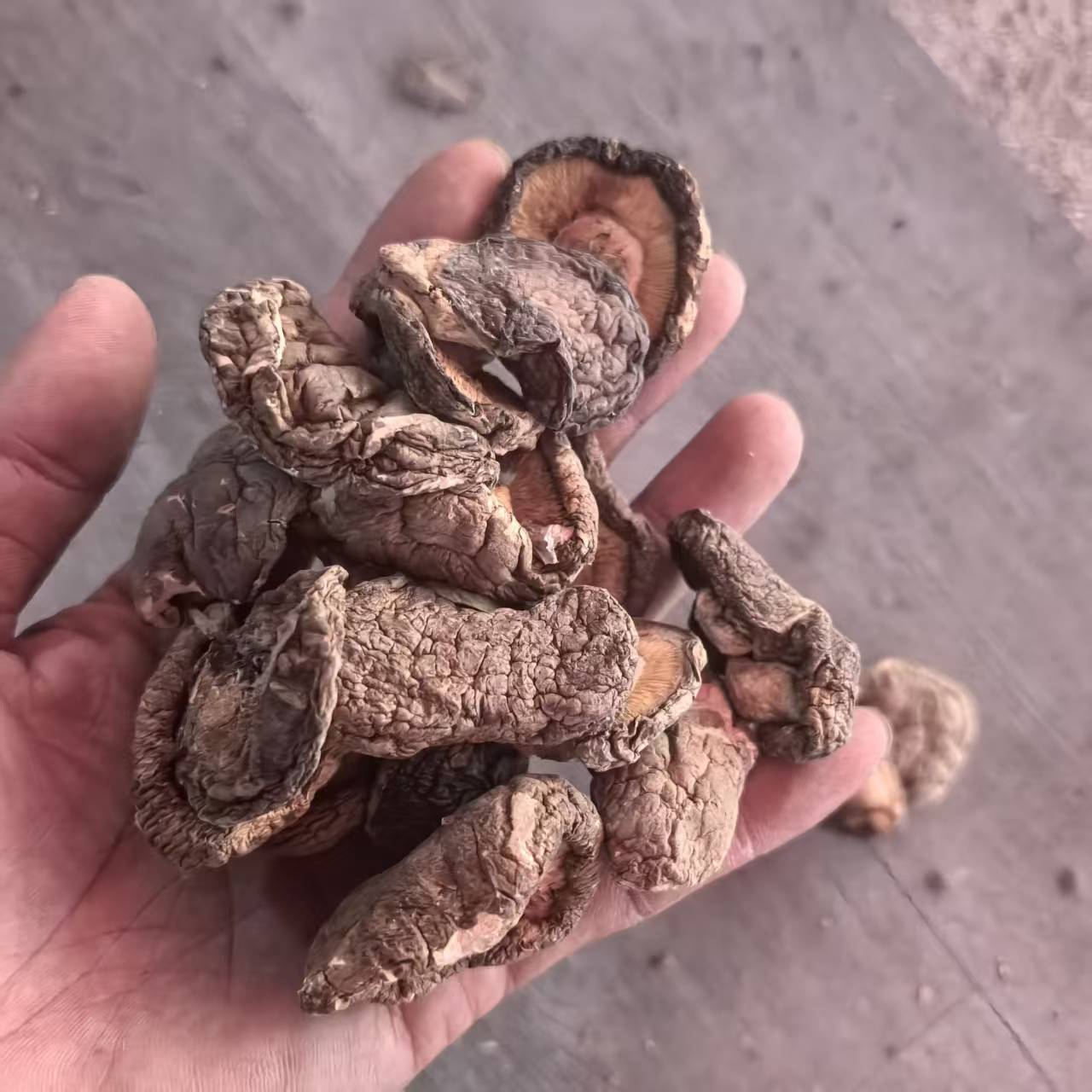 庆元农家香菇干货商用小香菇非特级蘑菇冬菇花菇菌菇拍2件500g