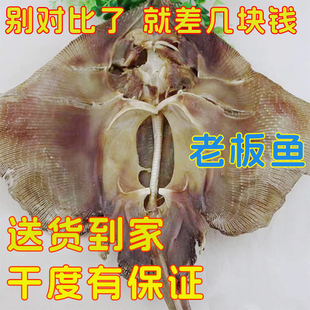 老板鱼魔鬼鱼新鲜干货海鲜产品鲽鱼老子鱼瑶鱼劳板鱼锅盖鱼华子鱼