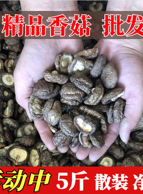 新鲜庆元农家香菇干货2500g金钱菇非特级小香菇椴木冬菇蘑菇花菇