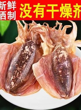 新晒墨鱼干货批发正宗东海野生大墨鱼干乌贼干精品墨鱼干爆炒煲汤