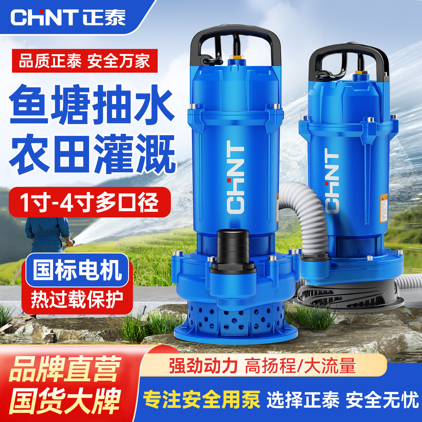 正泰220V抽粪泥浆排污潜水泵