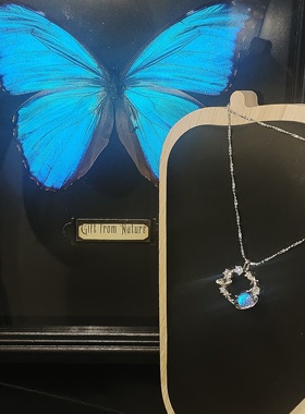 925银项链女时尚百搭蝴蝶结吊坠高级感轻奢锁骨链圣诞礼物