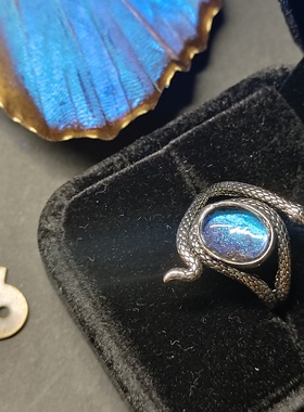 大蓝闪蝶真蝴蝶标本镀银戒指灵蛇精致ins设计生日礼物送女友