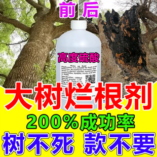 硫酸原液高浓度杀树神器烂根剂强力杀树根专用硫酸强力腐蚀灭根药