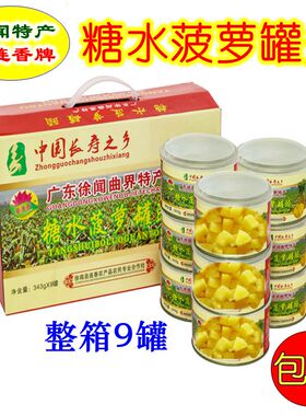 糖水菠萝罐头343g*9整箱湛江徐闻水果罐头菠萝披萨商用烘焙小罐