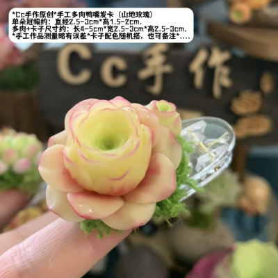 Cc原创手工树脂粘土多肉发卡鸭嘴发夹山地玫瑰桃蛋治愈小众可淋雨