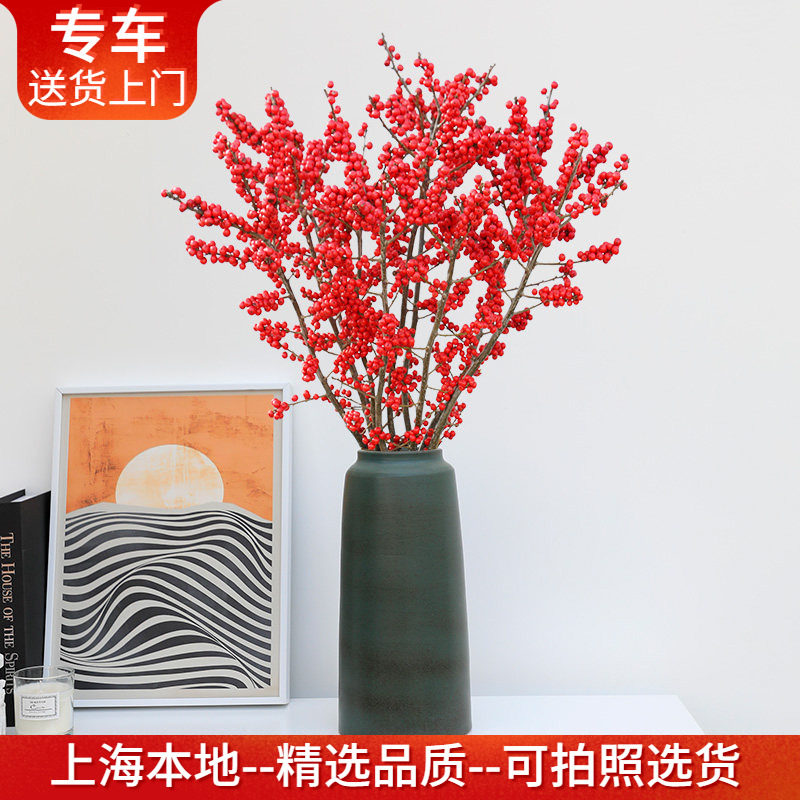 进口北美冬青鲜切花 红果子喜庆植物年宵花卉瓶插花 上海送货上门