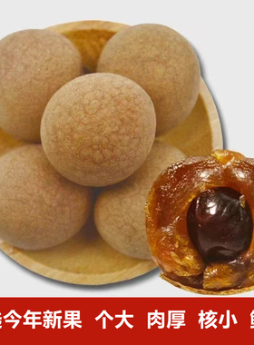 2025年新货特产福建漳州桂圆干500g5A特桂圆肉龙眼干货干果零食