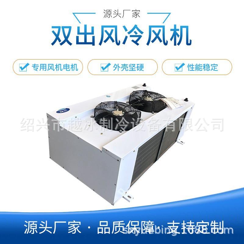 双出风冷却器吊顶式冷风机降温DS-DL/DD型冷库制冷设备厂家