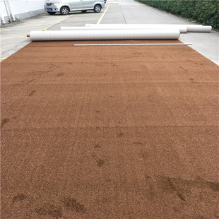 加厚吸音地毯直播间录音棚影院满铺地毯商用会议室跆拳道教室地毯