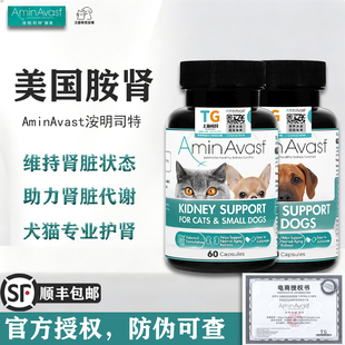美国AminAvast胺肾 猫狗肾脏护理慢性肾衰降磷肌酐老年营养补充剂