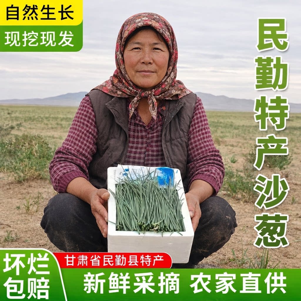 甘肃新鲜沙葱顺丰包邮民勤沙葱特葱类
