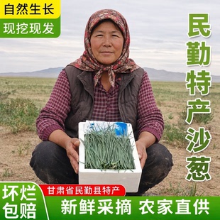 甘肃新鲜沙葱顺丰包邮民勤沙葱特产野生蔬菜火锅食材防冻保鲜野葱