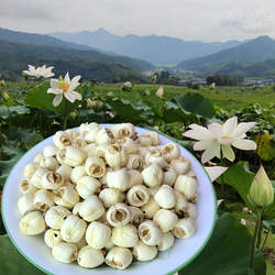 福建建宁通心白莲300g正宗白花建莲银耳莲子羹通芯白莲子无芯干货