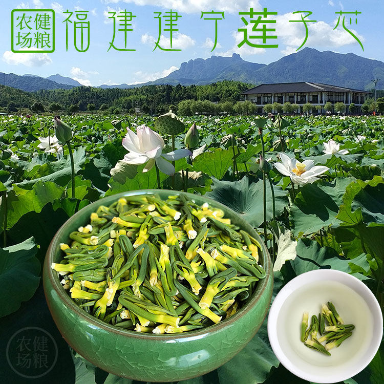 福建建宁莲子心120克莲芯茶 泡水清心养生茶 天然连子干货莲心