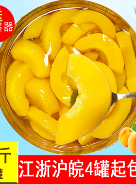 黄桃3000g椰果桔子水果罐头3kg公斤冷饮水果捞商用江塔隆芳2.5kg