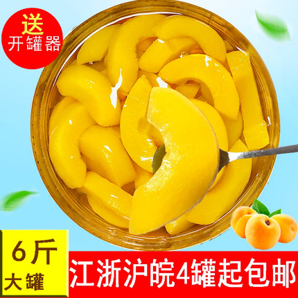 黄桃3000g椰果桔子水果罐头3kg公斤冷饮水果捞商用江塔隆芳2.5kg